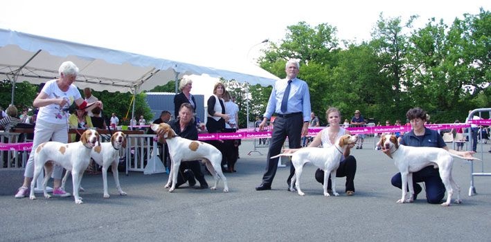 TR. CH. Ièna De la diane de belrem - 1er Excellent RCACS-RCACIB