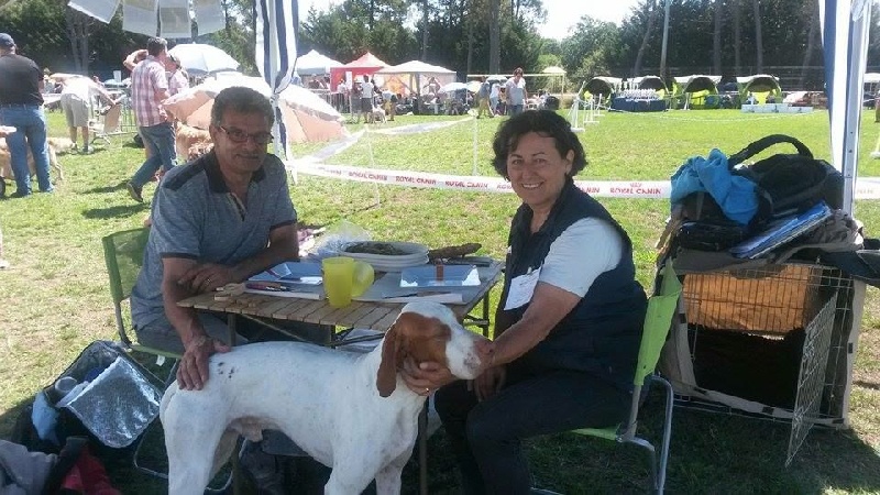 TR. CH. Issan De la diane de belrem - 1er Excellent CACS Classe travail - Meilleur de race