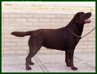 Publication : du taillis madame