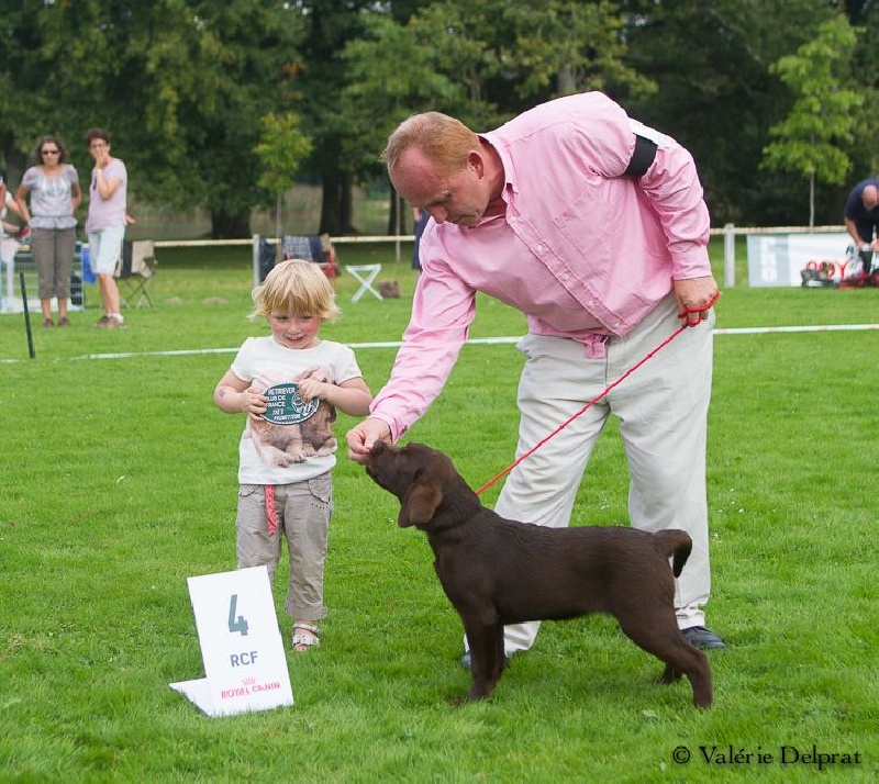 Publication : du taillis madame Auteur : V Delprat