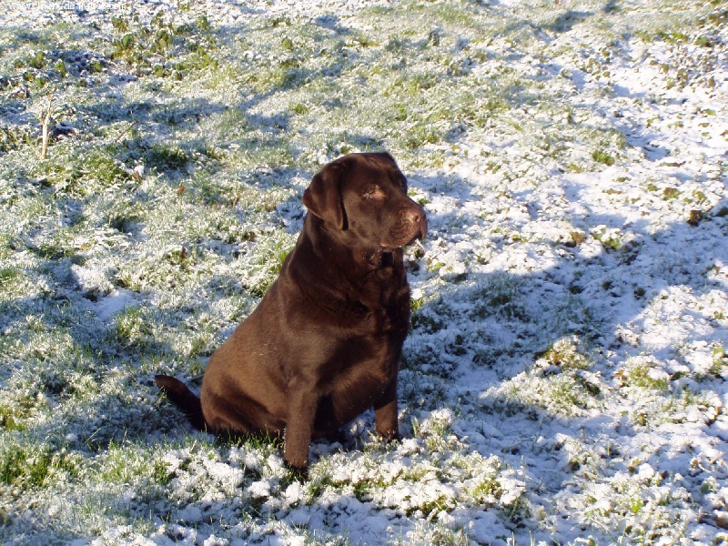 Publication : du taillis madame