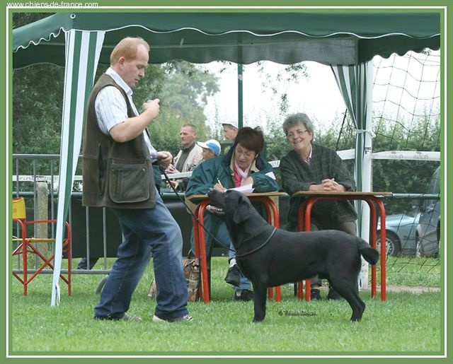 Bering de la Tour Farmina - 1 Exc classe jeune mâle