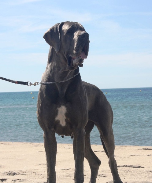 Publication : Des terres de brandon