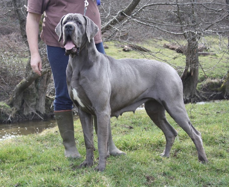 Publication : Des terres de brandon