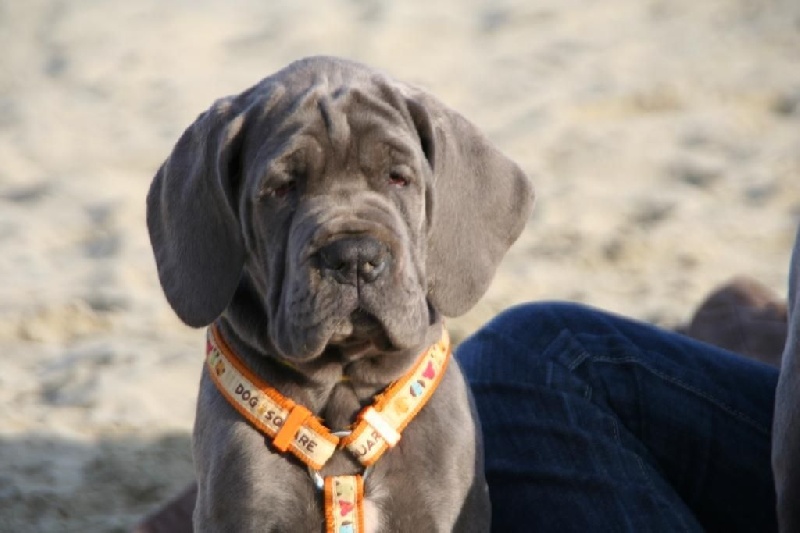 Publication : Des terres de brandon