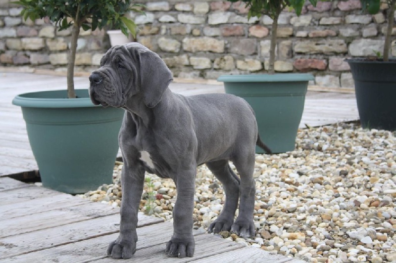 Publication : Des terres de brandon