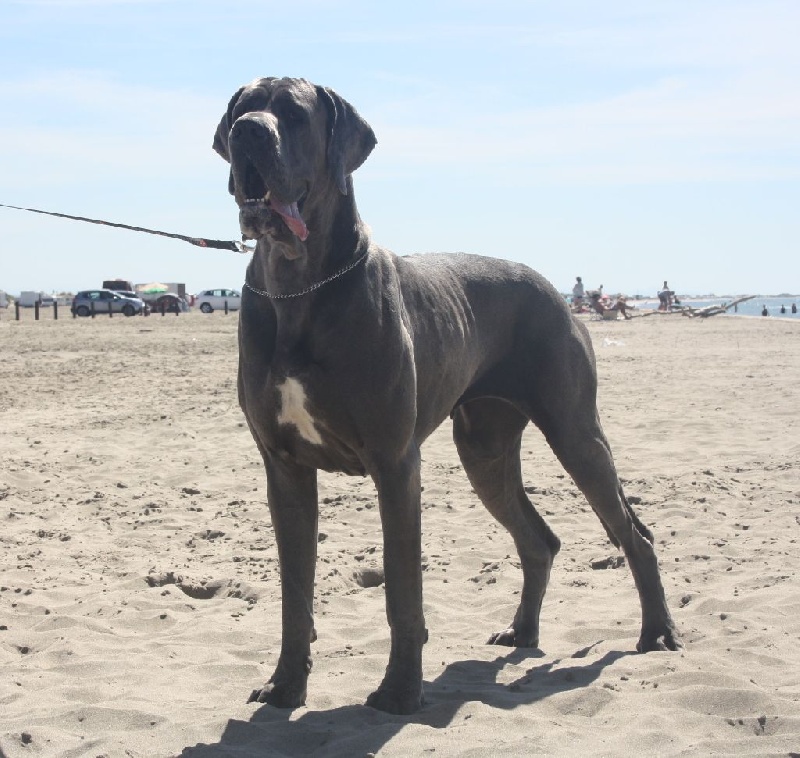 Publication : Des terres de brandon