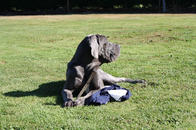 Publication : Des terres de brandon