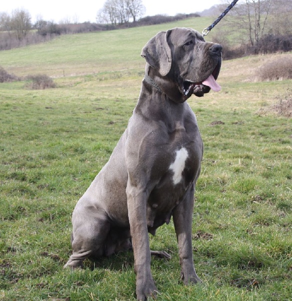 Publication : Des terres de brandon