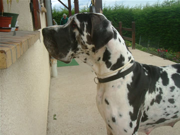 Publication : Des terres de brandon