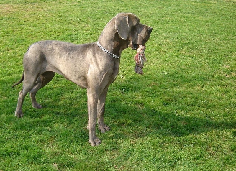 Publication : Des terres de brandon