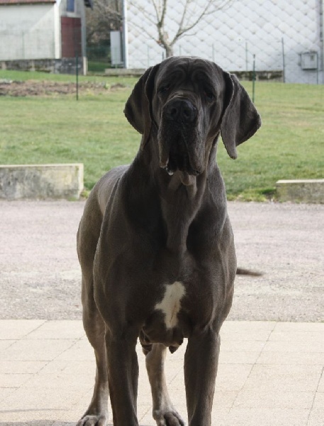 Publication : Des terres de brandon