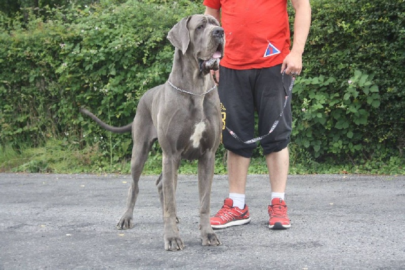 Publication : Des terres de brandon