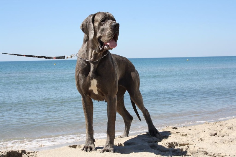 Publication : Des terres de brandon