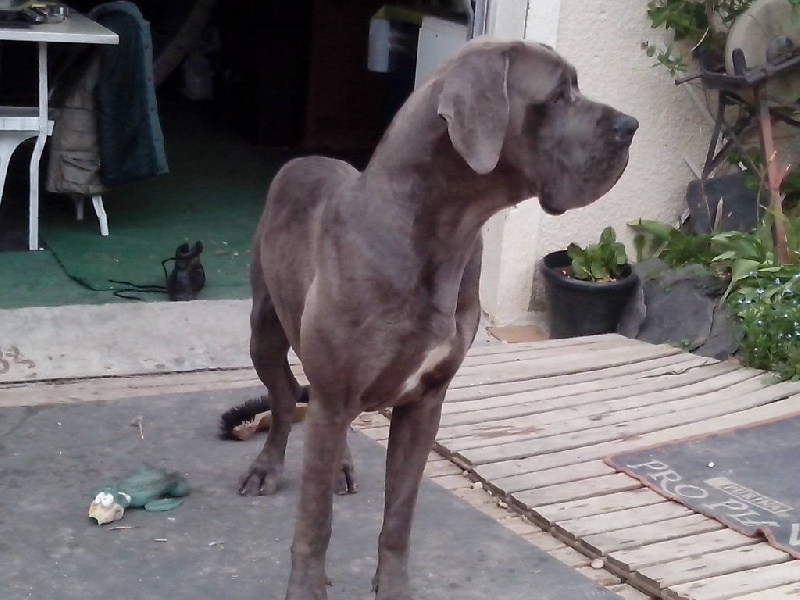 Publication : Des terres de brandon