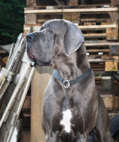 Publication : Des terres de brandon