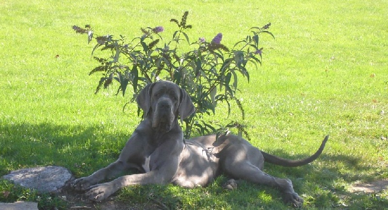 Publication : Des terres de brandon