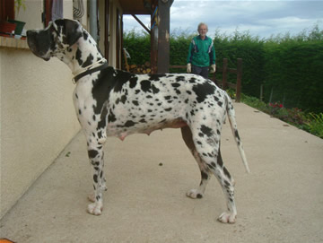 Publication : Des terres de brandon