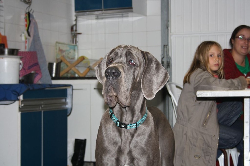 Publication : Des terres de brandon