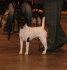 - Dandy champion de France