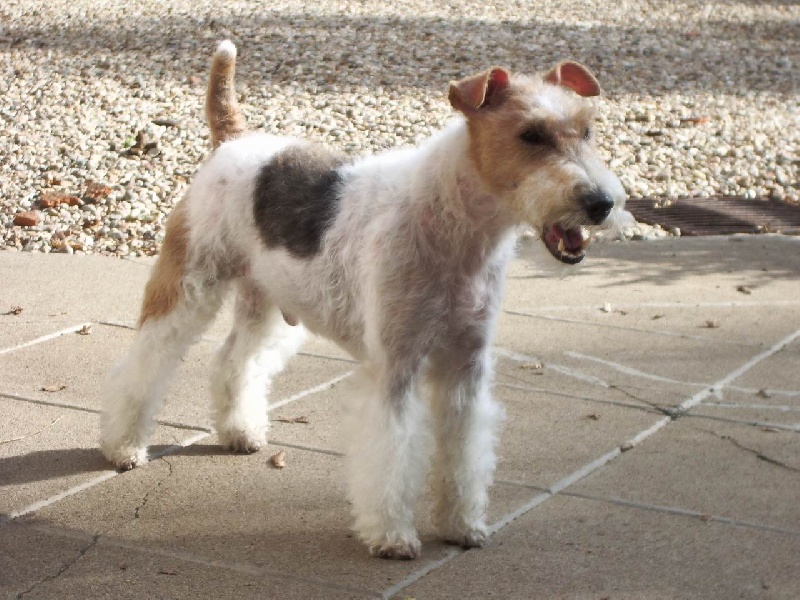 Publication : du manoir des presles