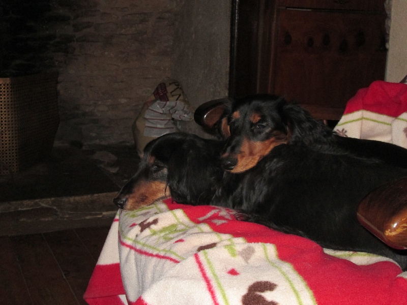 Insiste du domaine de Locus