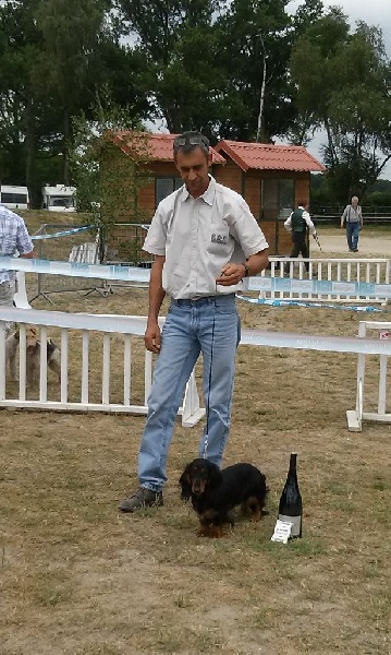 Insiste du domaine de Locus