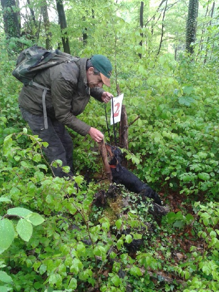 Insiste du domaine de Locus