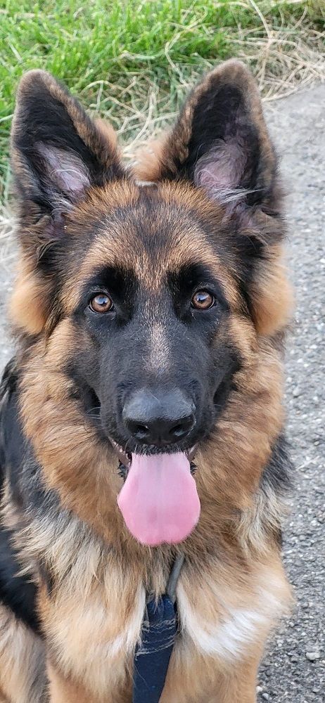 Publication : du domaine de Locus