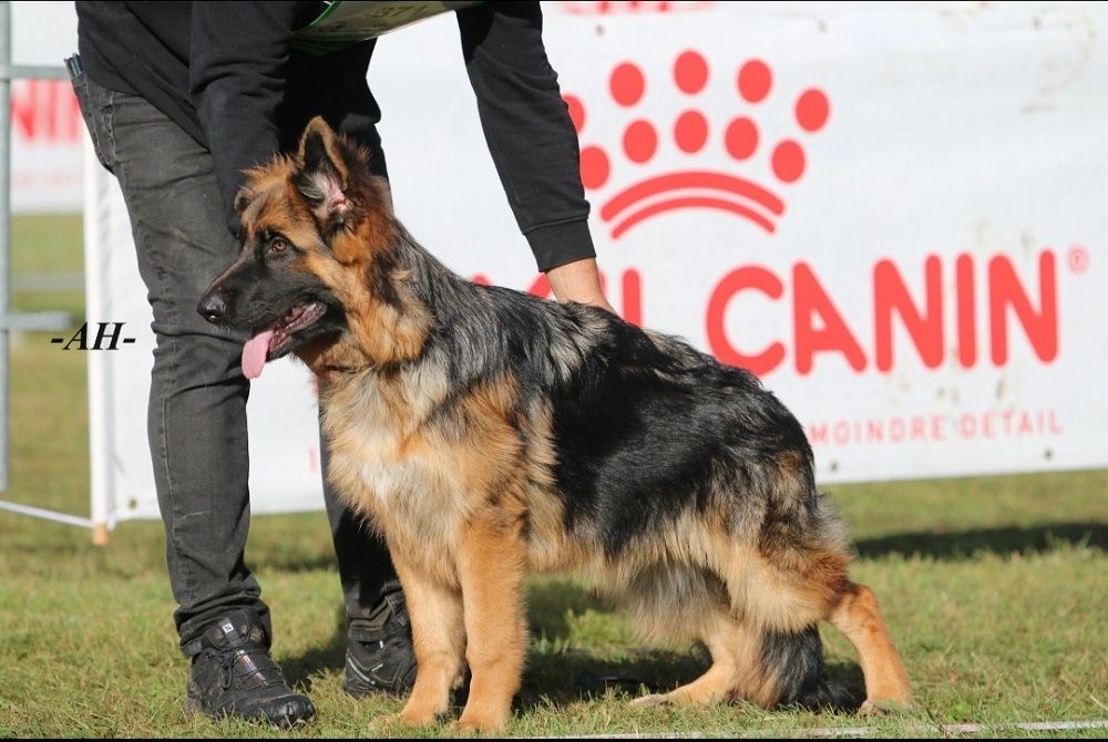 Publication : du domaine de Locus