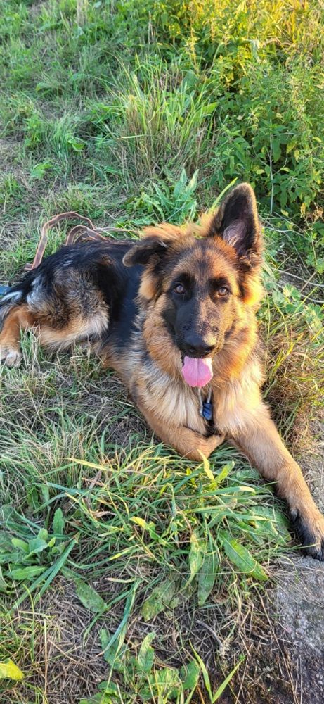 Publication : du domaine de Locus