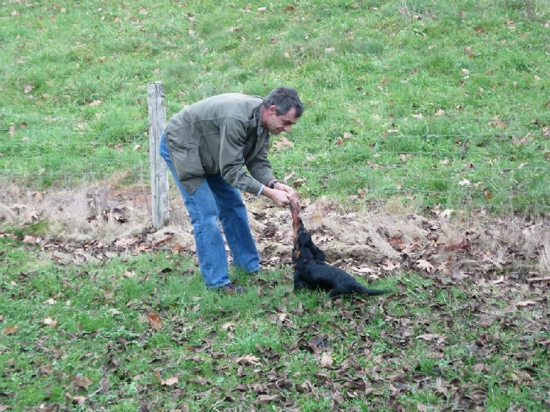 Insiste du domaine de Locus