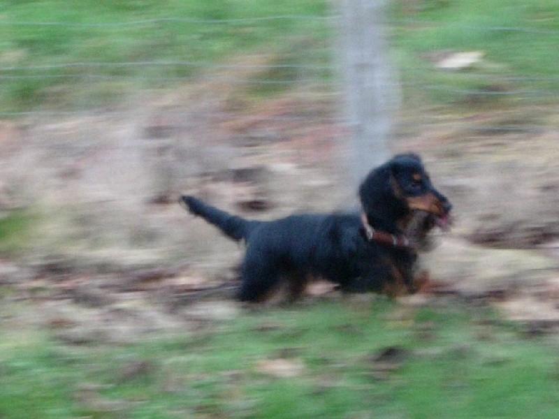 Insiste du domaine de Locus