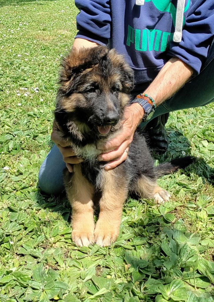 Publication : du domaine de Locus