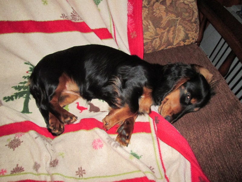 Insiste du domaine de Locus