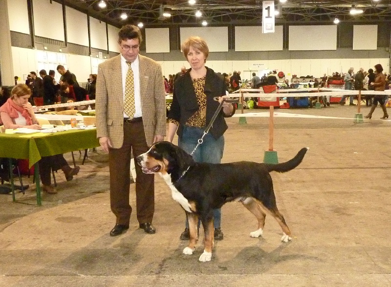 CH. Jarod van't samaika nest - 1er EXC CACS CACIB BOB
