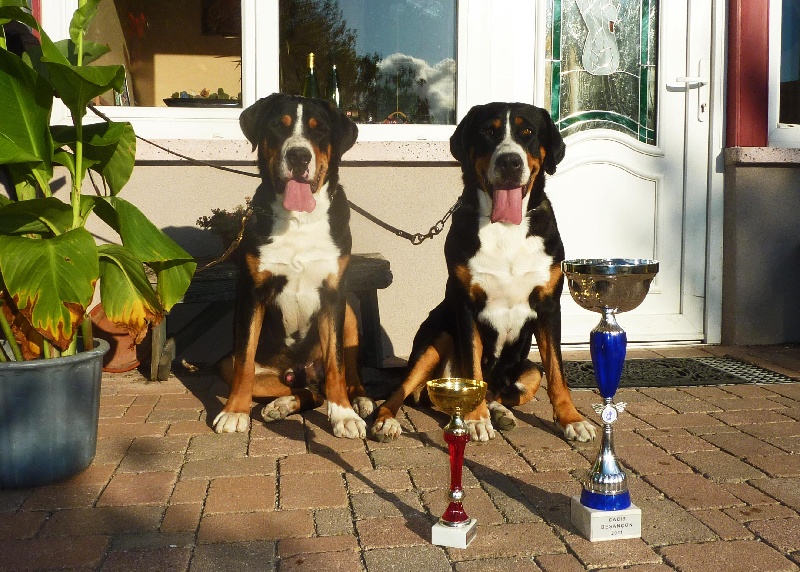 CH. Dune du Val du Sânon - 1er excellent CACS CACIB BOB