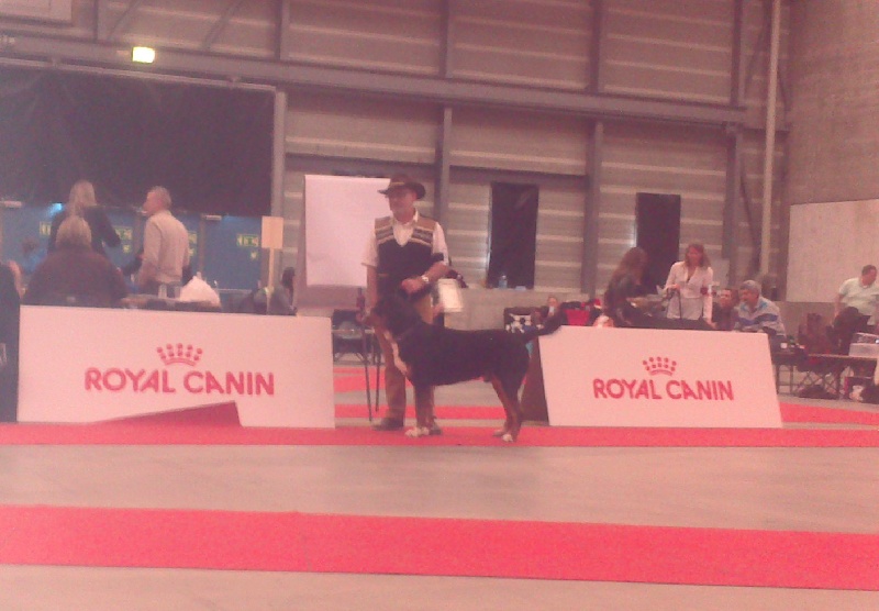 CH. Jarod van't samaika nest - 2ème EXC RCAC