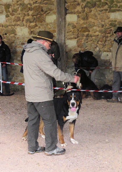 CH. Jarod van't samaika nest - 1er EXC RCACS