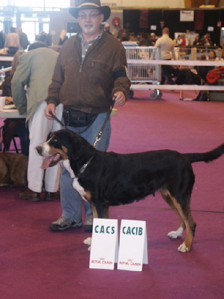 CH. Dune du Val du Sânon - 1ERE EXC CACS CACIB