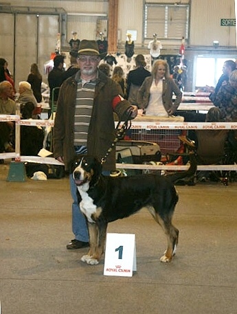 CH. Dune du Val du Sânon - CACS CACIB