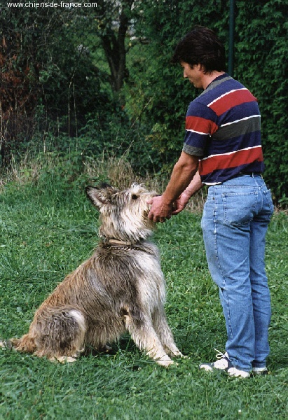 Publication : du Domaine de Saint Paul Auteur : Petra Harnist