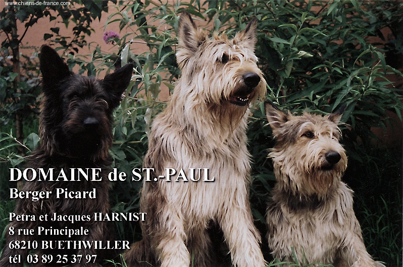 Publication : du Domaine de Saint Paul Auteur : Petra Harnist