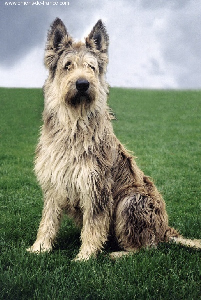 Publication : du Domaine de Saint Paul Auteur : Petra Harnist