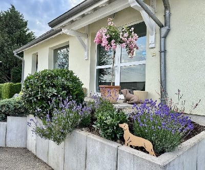 PENSION DU DOMAINE DE SANCTAE CRUCIS