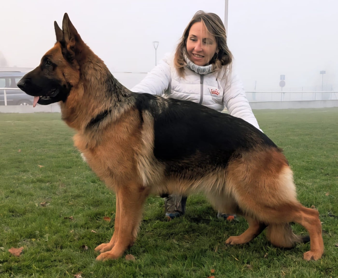 Uranie Du fosse des pandours
