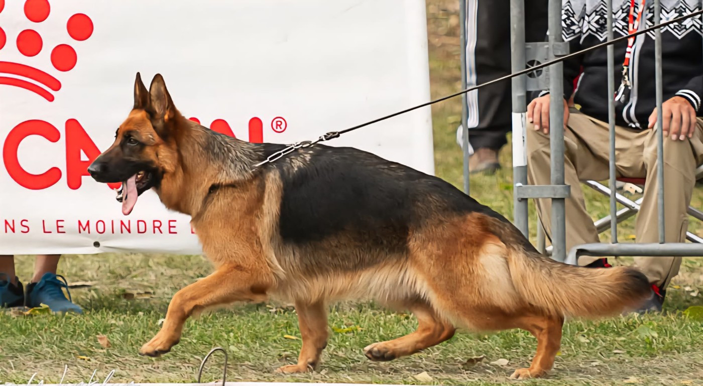 Uranie Du fosse des pandours