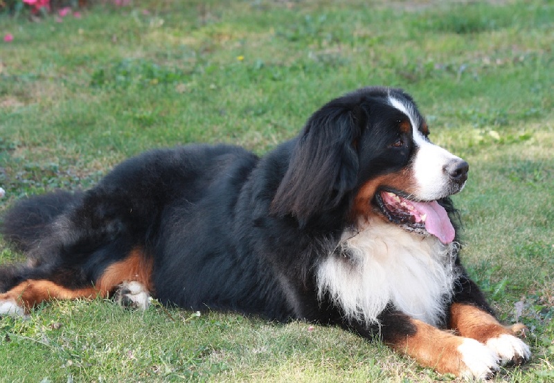 Cooper du hameau des baronnies