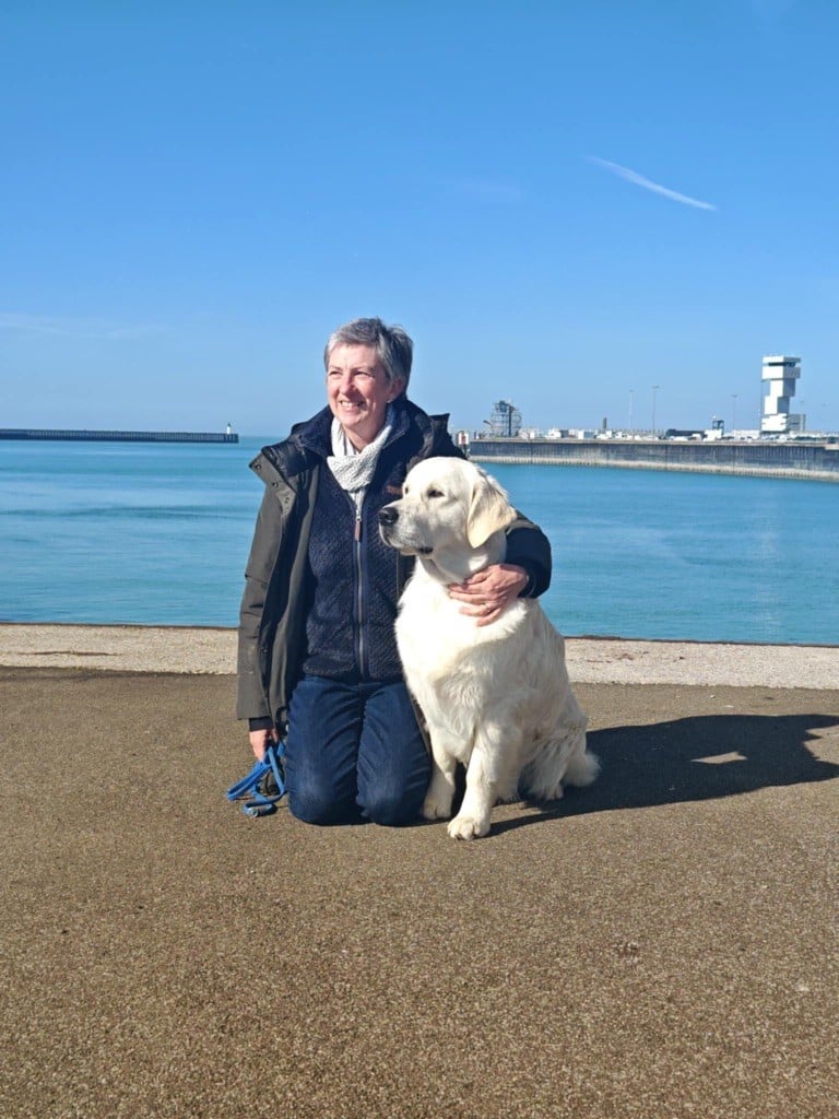 CH. golden rose bay's Waterloo