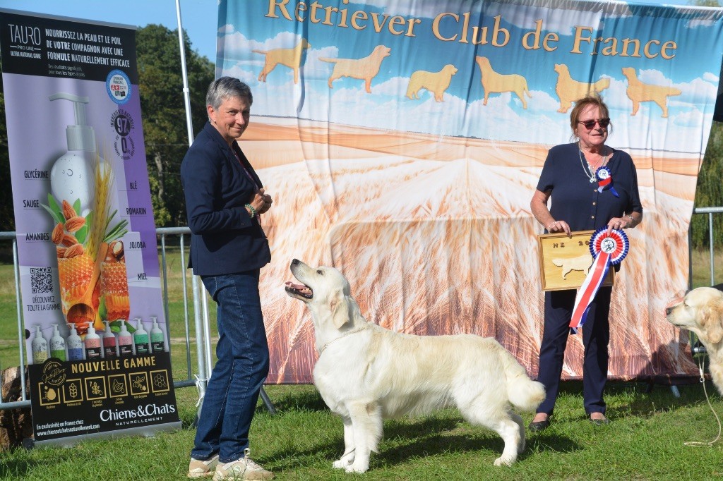 CH. golden rose bay's Waterloo